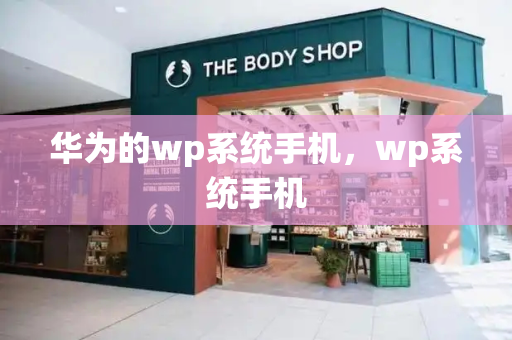 华为的wp系统手机，wp系统手机