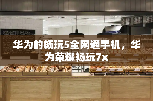 华为的畅玩5全网通手机，华为荣耀畅玩7x