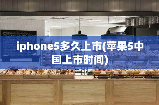 iphone5多久上市(苹果5中国上市时间)-第1张图片-星选测评