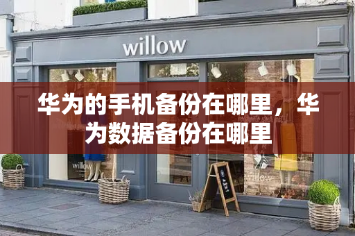 华为的手机备份在哪里，华为数据备份在哪里-第1张图片-星选测评