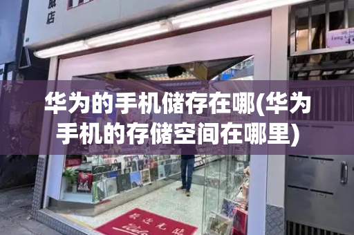华为的手机储存在哪(华为手机的存储空间在哪里)-第1张图片-星选测评