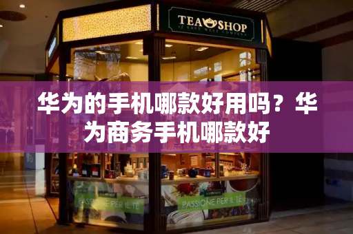 华为的手机哪款好用吗？华为商务手机哪款好-第1张图片-星选测评