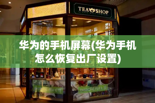 华为的手机屏幕(华为手机怎么恢复出厂设置)-第1张图片-星选测评