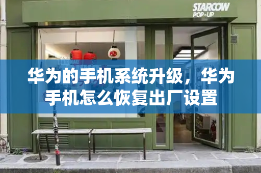 华为的手机系统升级，华为手机怎么恢复出厂设置-第1张图片-星选测评