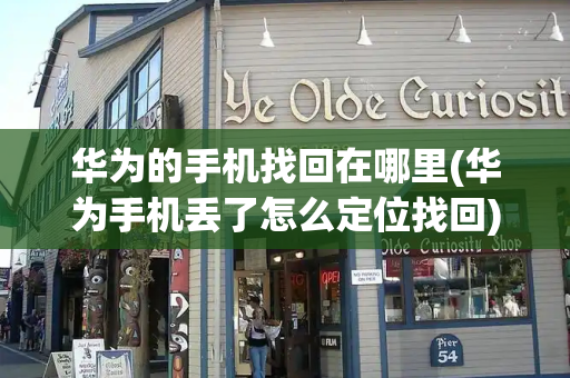 华为的手机找回在哪里(华为手机丢了怎么定位找回)-第1张图片-星选测评