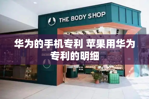 华为的手机专利 苹果用华为专利的明细