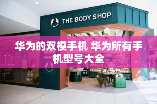 华为的双模手机 华为所有手机型号大全-第1张图片-星选测评