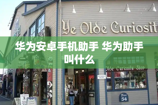 华为安卓手机助手 华为助手叫什么-第1张图片-星选测评