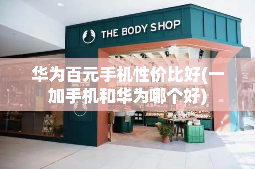 华为百元手机性价比好(一加手机和华为哪个好)-第1张图片-星选测评