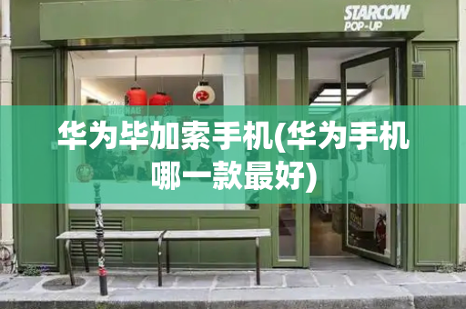 华为毕加索手机(华为手机哪一款最好)-第1张图片-星选测评