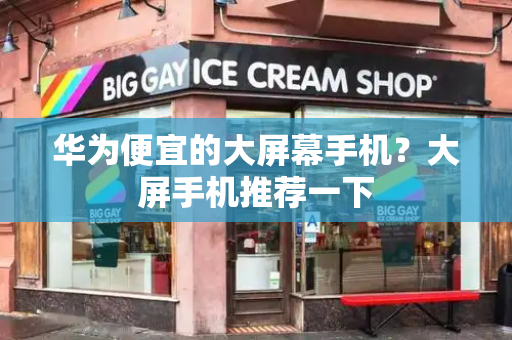 华为便宜的大屏幕手机？大屏手机推荐一下-第1张图片-星选测评