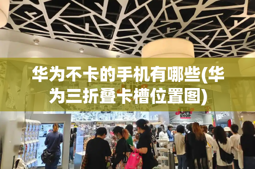华为不卡的手机有哪些(华为三折叠卡槽位置图)
