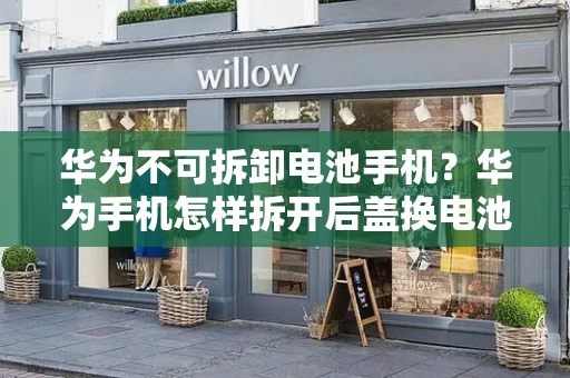 华为不可拆卸电池手机？华为手机怎样拆开后盖换电池-第1张图片-星选测评