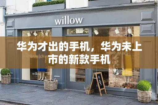 华为才出的手机，华为未上市的新款手机