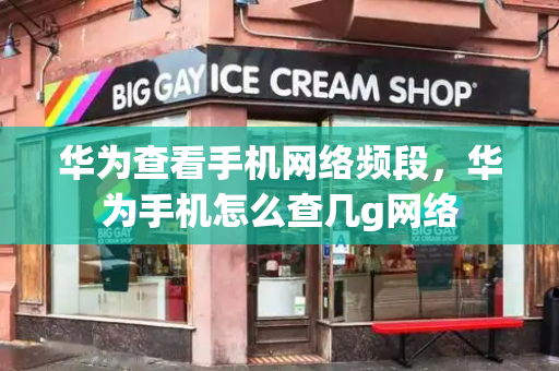 华为查看手机网络频段，华为手机怎么查几g网络