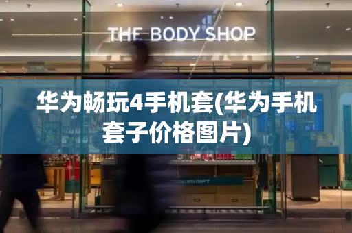 华为畅玩4手机套(华为手机套子价格图片)-第1张图片-星选测评