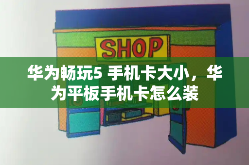 华为畅玩5 手机卡大小，华为平板手机卡怎么装-第1张图片-星选测评