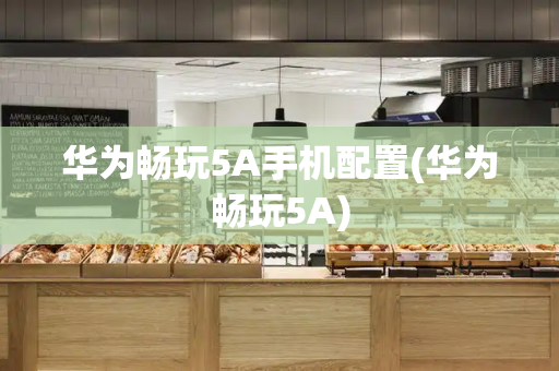华为畅玩5A手机配置(华为畅玩5A)-第1张图片-星选测评