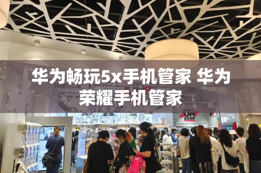 华为畅玩5x手机管家 华为荣耀手机管家-第1张图片-星选测评