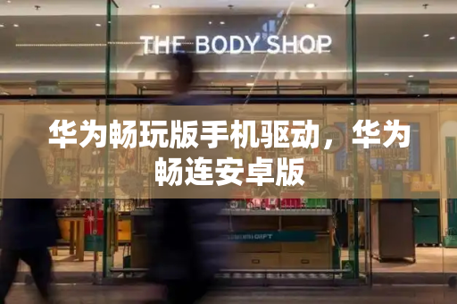 华为畅玩版手机驱动，华为畅连安卓版-第1张图片-星选测评