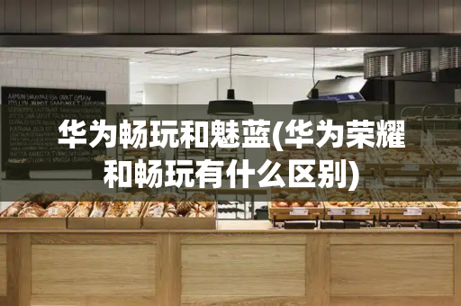 华为畅玩和魅蓝(华为荣耀和畅玩有什么区别)