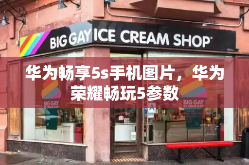 华为畅享5s手机图片，华为荣耀畅玩5参数-第1张图片-星选测评