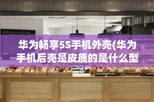 华为畅享5S手机外壳(华为手机后壳是皮质的是什么型号)