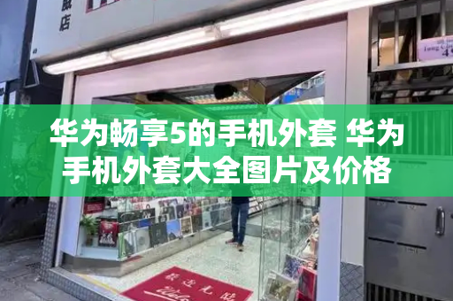 华为畅享5的手机外套 华为手机外套大全图片及价格
