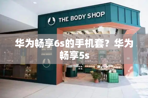 华为畅享6s的手机套？华为畅享5s-第1张图片-星选测评