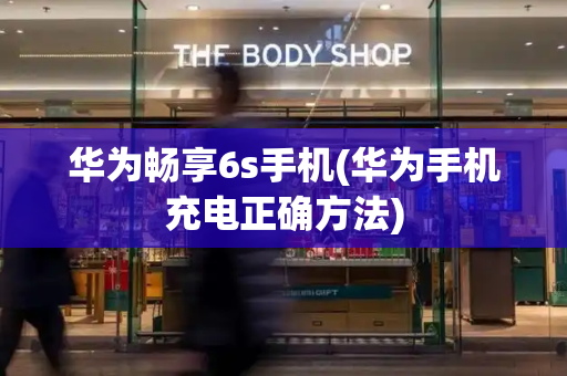 华为畅享6s手机(华为手机充电正确方法)-第1张图片-星选测评