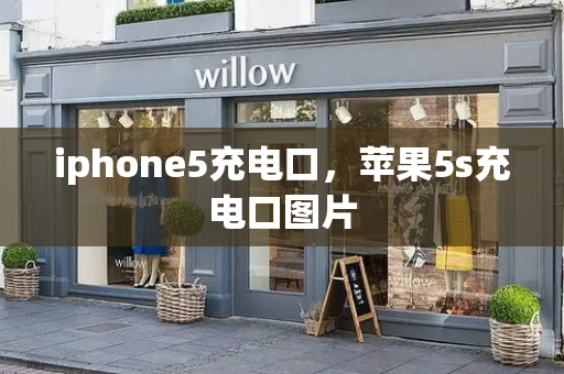 iphone5充电口，苹果5s充电口图片-第1张图片-星选测评