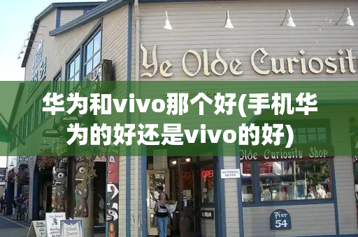 华为和vivo那个好(手机华为的好还是vivo的好)-第1张图片-星选测评