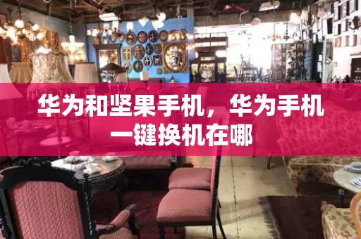 华为和坚果手机，华为手机一键换机在哪-第1张图片-星选测评