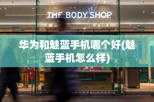 华为和魅蓝手机哪个好(魅蓝手机怎么样)-第1张图片-星选测评