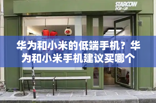 华为和小米的低端手机？华为和小米手机建议买哪个-第1张图片-星选测评