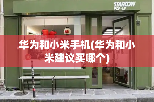 华为和小米手机(华为和小米建议买哪个)