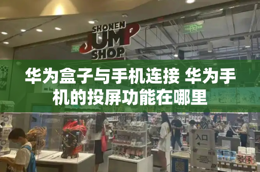 华为盒子与手机连接 华为手机的投屏功能在哪里-第1张图片-星选测评
