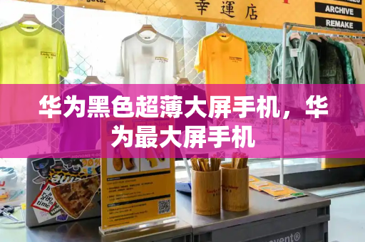 华为黑色超薄大屏手机，华为最大屏手机-第1张图片-星选测评