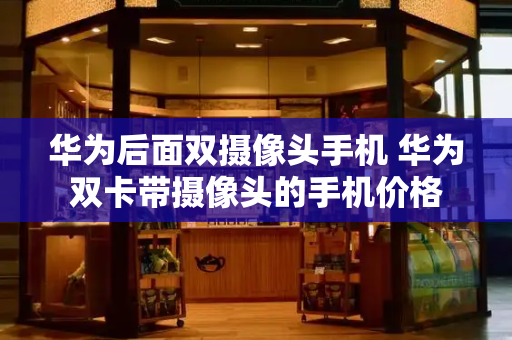 华为后面双摄像头手机 华为双卡带摄像头的手机价格-第1张图片-星选测评