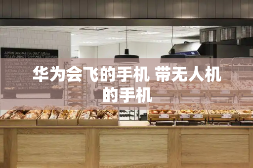 华为会飞的手机 带无人机的手机-第1张图片-星选测评