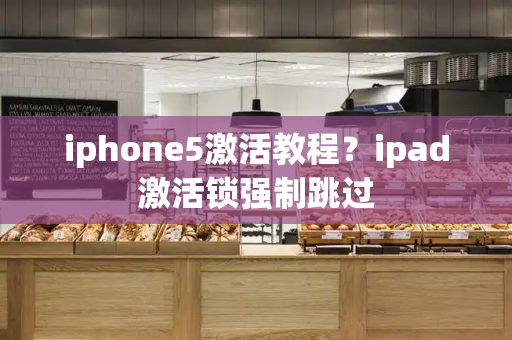 iphone5激活教程？ipad激活锁强制跳过-第1张图片-星选测评