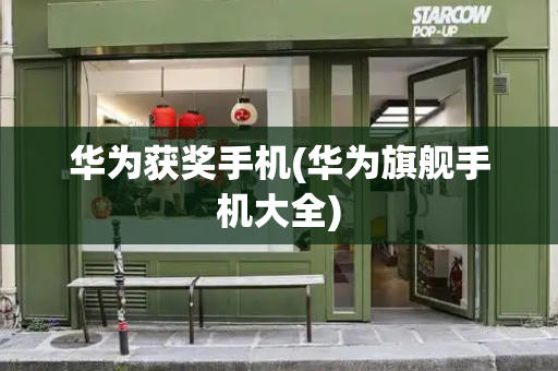 华为获奖手机(华为旗舰手机大全)-第1张图片-星选测评