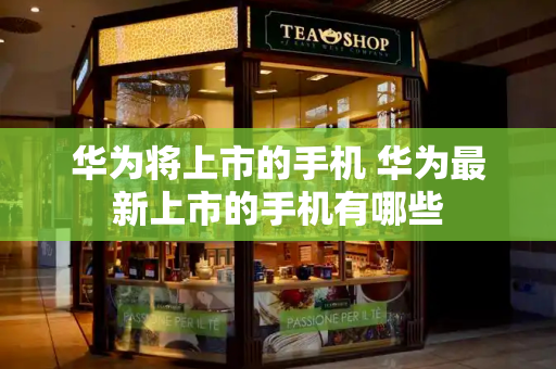 华为将上市的手机 华为最新上市的手机有哪些-第1张图片-星选测评