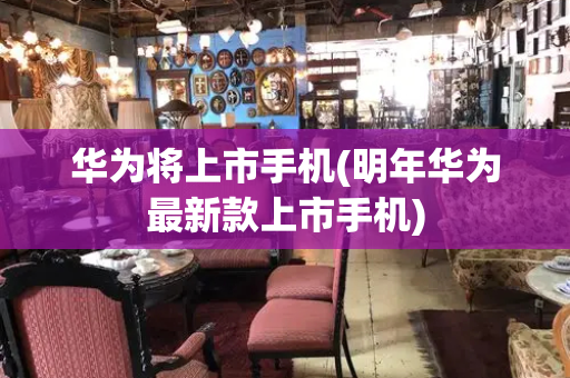 华为将上市手机(明年华为最新款上市手机)-第1张图片-星选测评