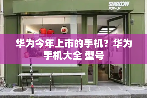 华为今年上市的手机？华为手机大全 型号-第1张图片-星选测评