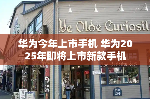 华为今年上市手机 华为2025年即将上市新款手机-第1张图片-星选测评