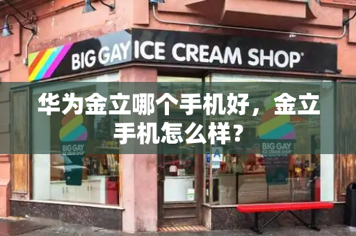 华为金立哪个手机好，金立手机怎么样？-第1张图片-星选测评