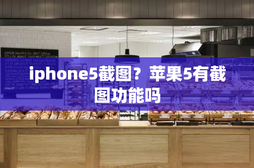 iphone5截图？苹果5有截图功能吗