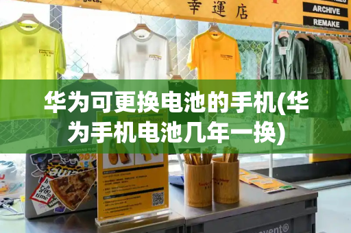 华为可更换电池的手机(华为手机电池几年一换)-第1张图片-星选测评