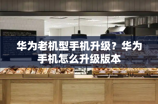 华为老机型手机升级？华为手机怎么升级版本-第1张图片-星选测评
